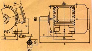 foot mounted